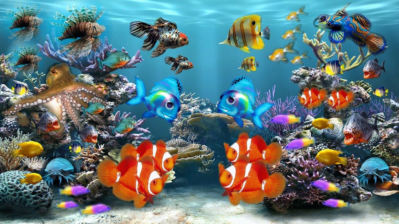 finding-nemo